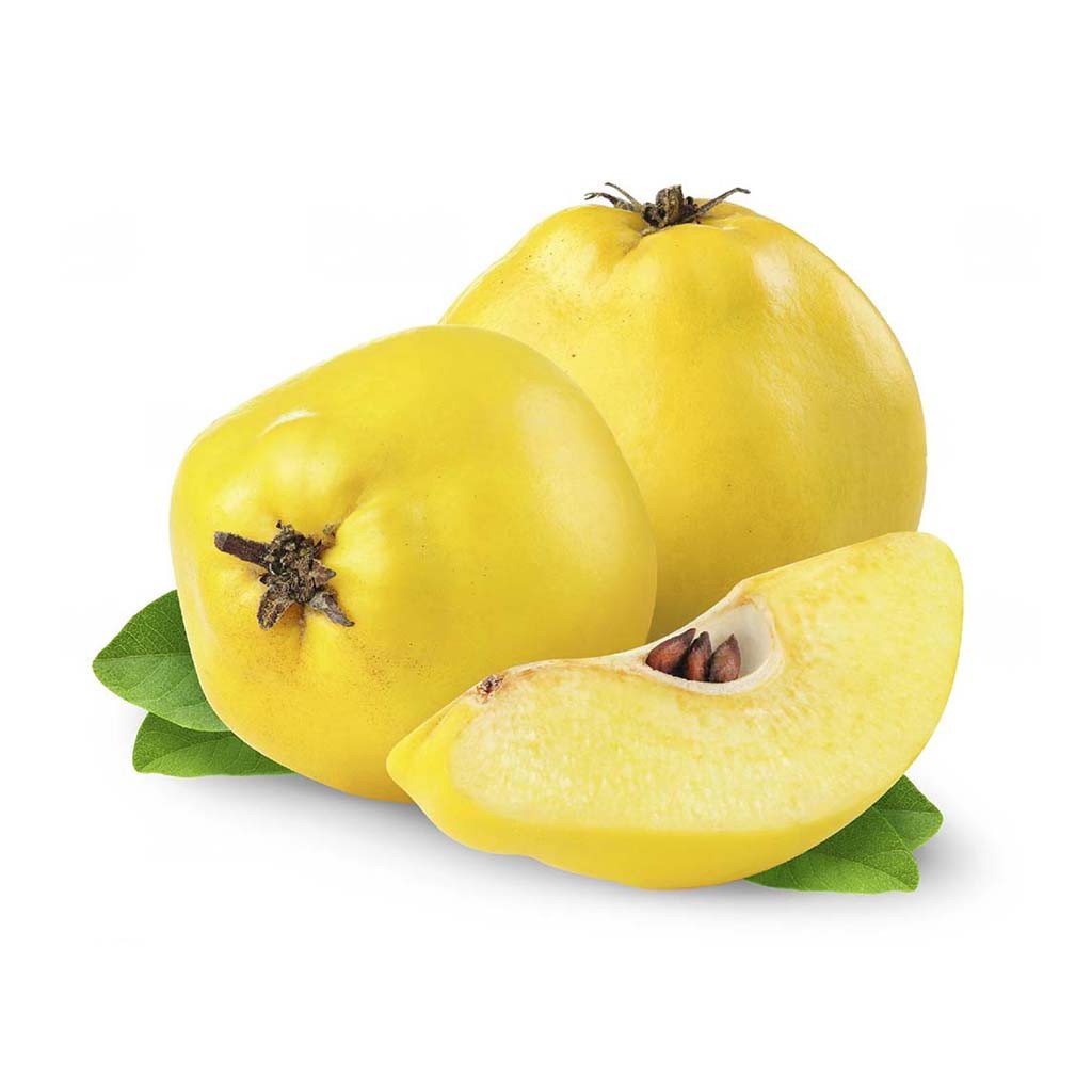 Quince